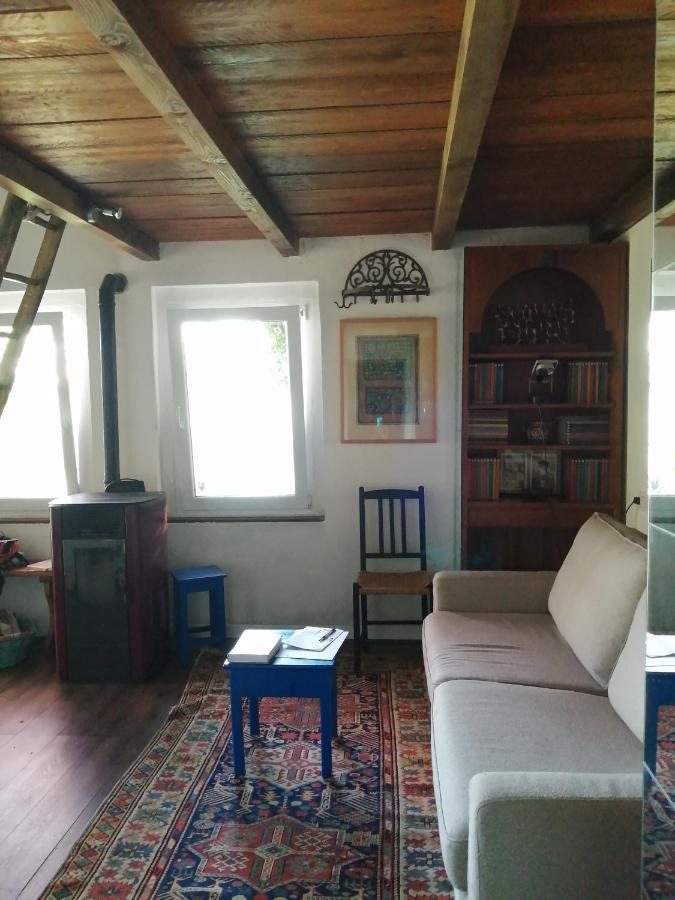 Cottage Sotto Il Faggio Centenario Ameno Eksteriør billede